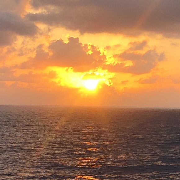 Meet your Posher, Mellissa - Picture 4 of 12